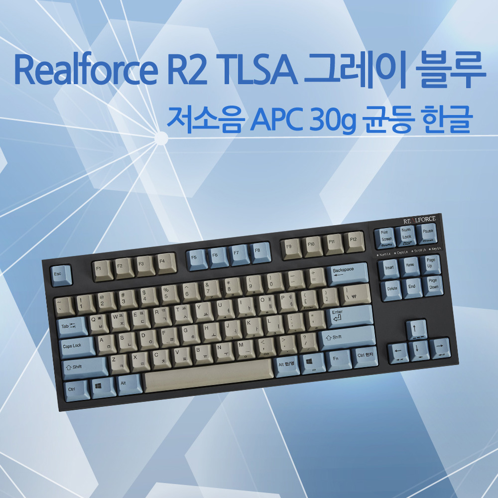Realforce R2 TLSA 그레이/블루 저소음 APC 30g 균등 한글(텐키레스)
