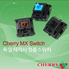 Cherry MX Switch 30개 set